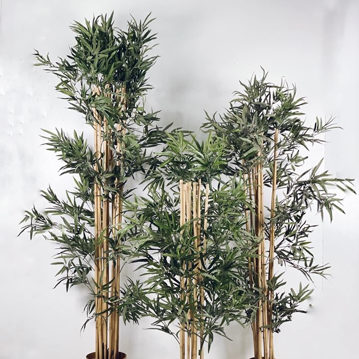 Бамбук у кашпо 150/180/210 FW-116