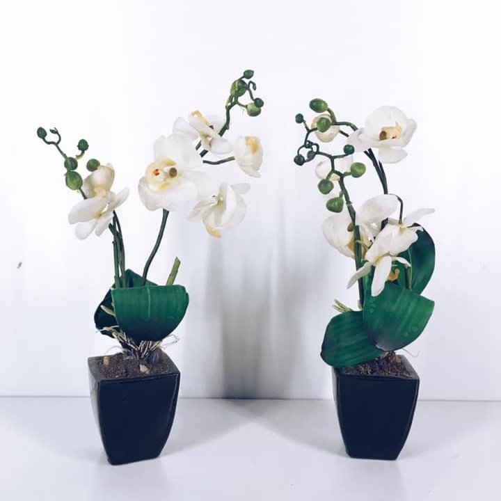 Орхідея штучна мала у чорному контейнері FW-079
