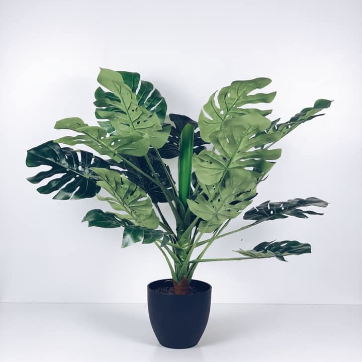 Монстера штучна  середня у чорному кашпо FW-095