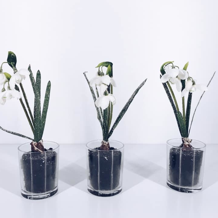 Підсніжник засніжений штучний у скляному кашпо FW-062