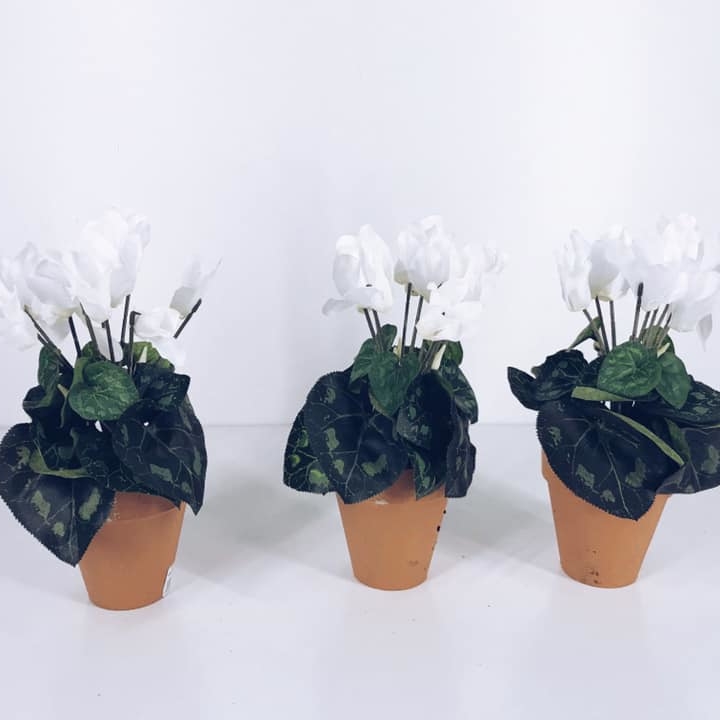 Цикламен білий штучний у коричневому кашпо FW-063