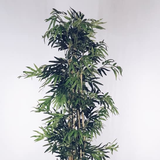 Бамбук штучний 200 № 1  FW-061