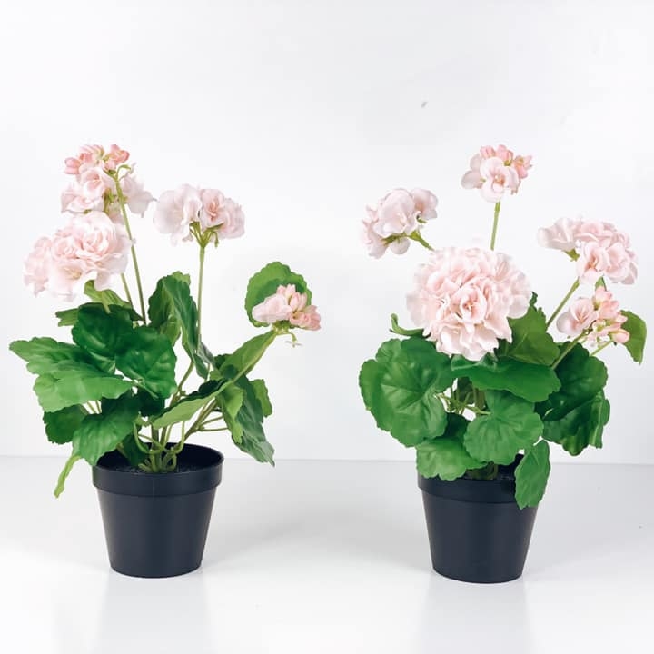 Пеларгонія штучна у чорному вазоні FW-118