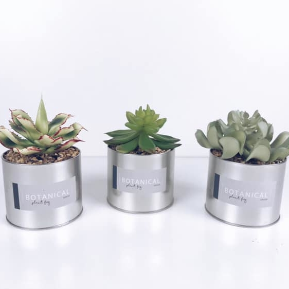 Сукулент штучний у металевій банці FW-091
