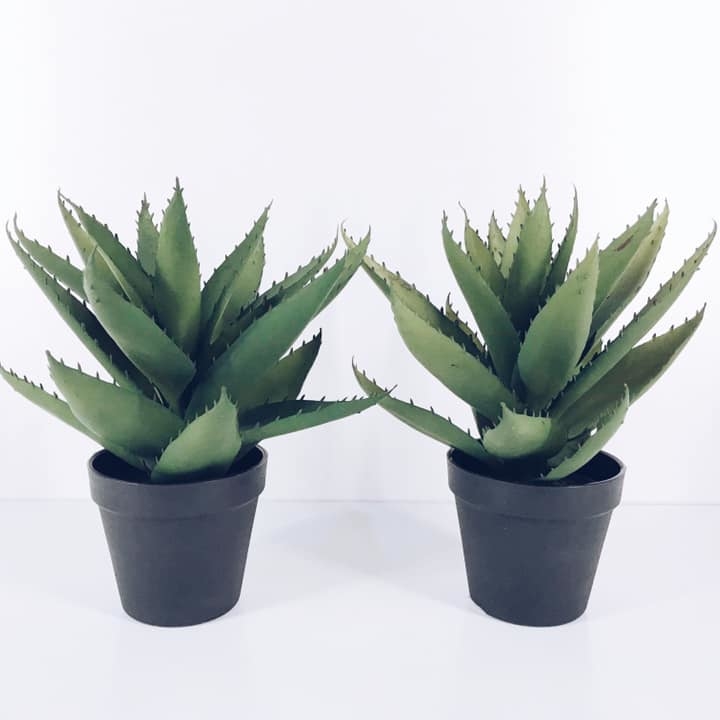 Алое штучний у чорному вазоні FW-070