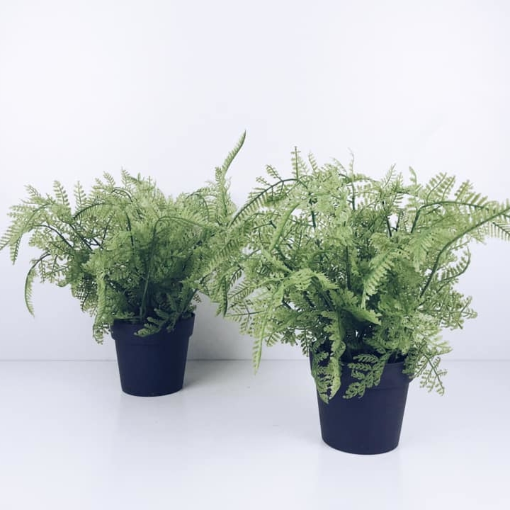 Папороть штучна мала у чорному вазоні FW-084