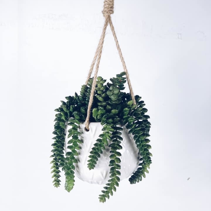 Сукулент штучний ампельний у підвісному кашпо біла кераміка FW-124