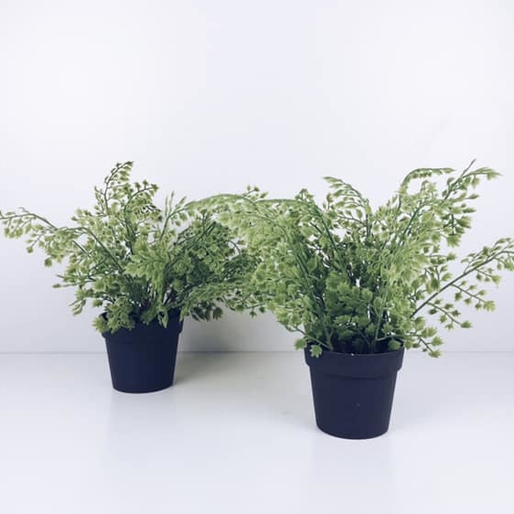 Папороть світло-зелена штучна в чорному вазоні FW-085