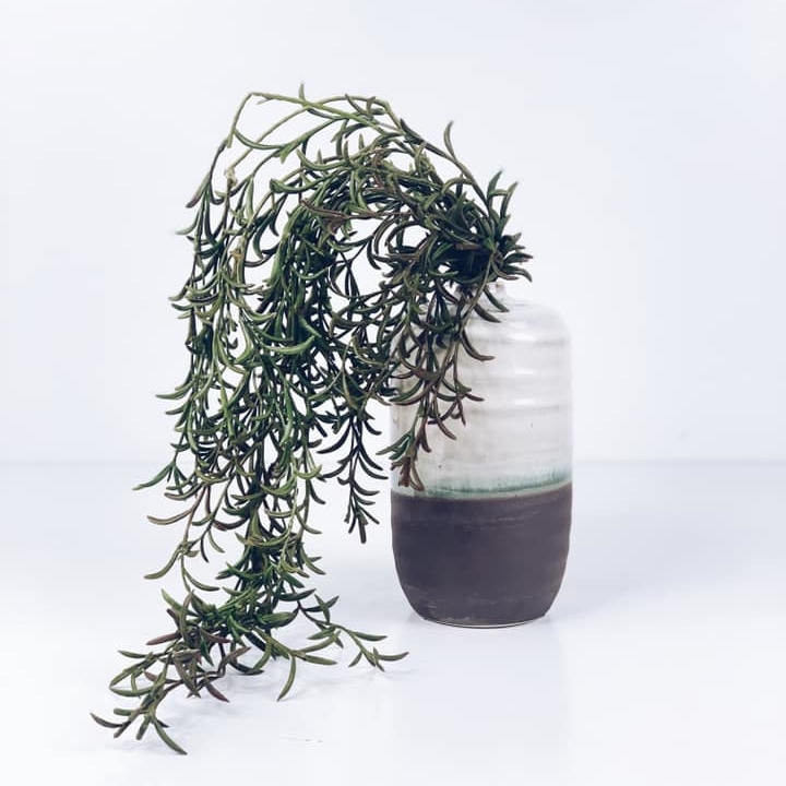 Ампельна зелень штучна у керамічній вазі FW-127