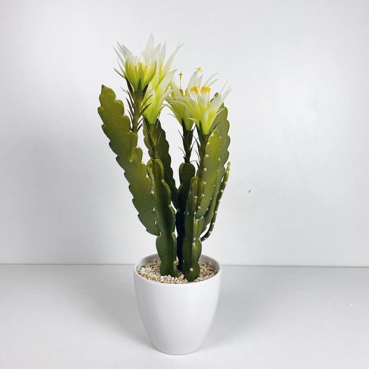 Кактус з біло-жовтими квітками в білому вазоні FW-126