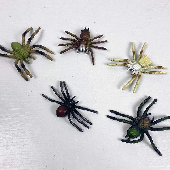 Павук муляж SK-015