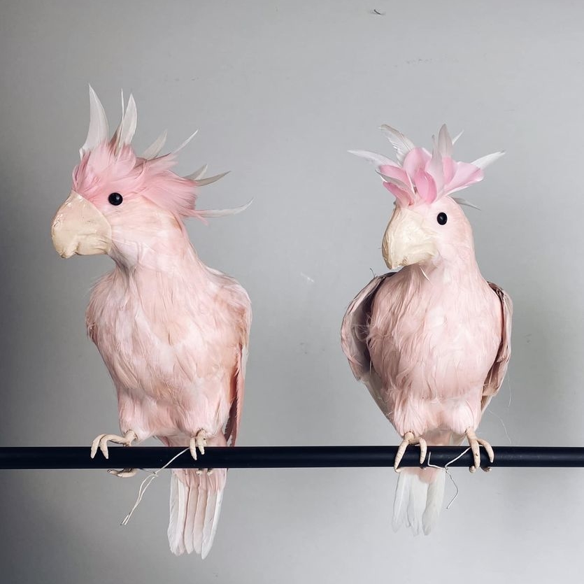 Папуга Какаду рожевий муляж  MU-019