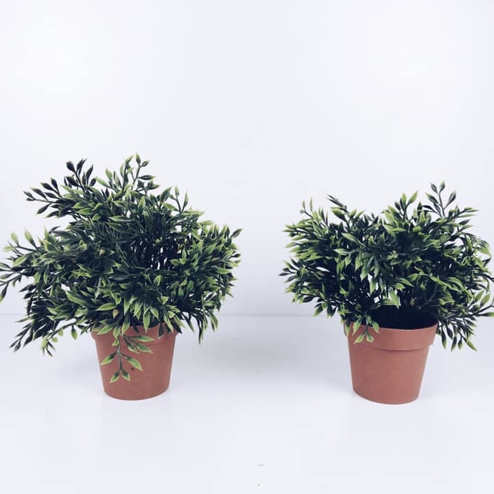 Зелень декоративна  коричневому вазоні FW-087