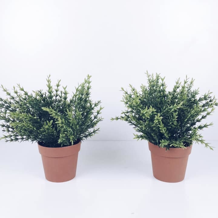 Зелень декоративна  коричневому вазоні FW-088