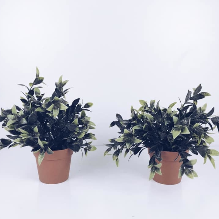 Зелень декоративна  коричневому вазоні FW-089