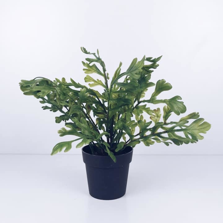 Зелень декоративна у чорному вазоні FW-090