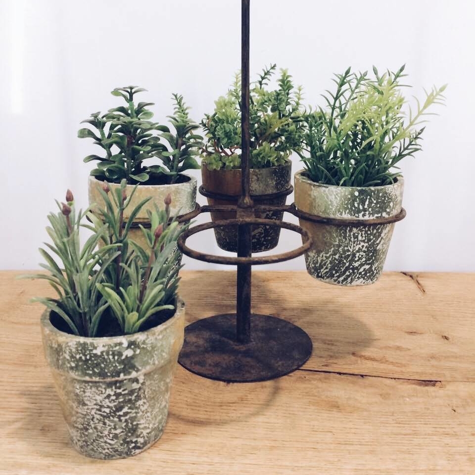 Пряні трави штучні у вазонах з підставкою FW-024