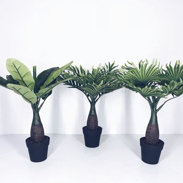 Пальма Банан/Вашингтонія мала штучна у вазоні FW-054