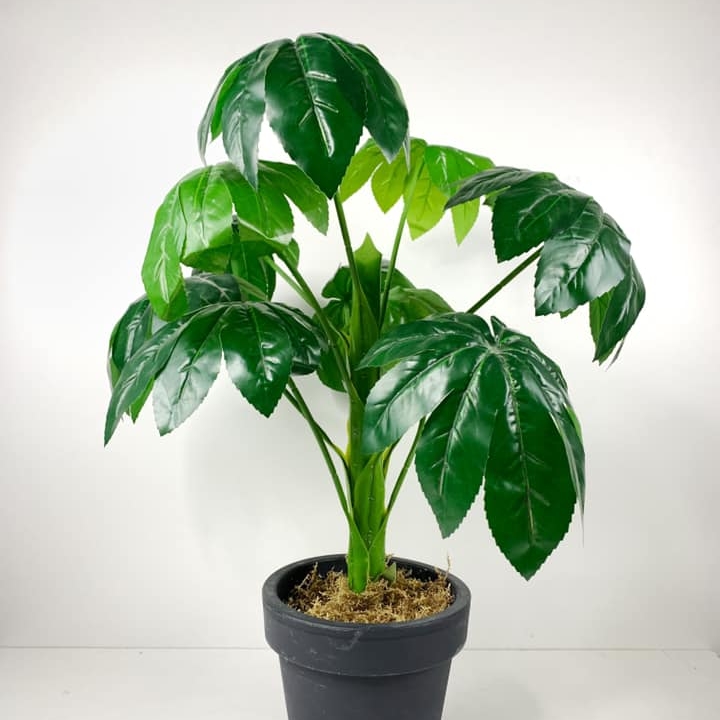 Фатсія штучна у вазоні FW-134