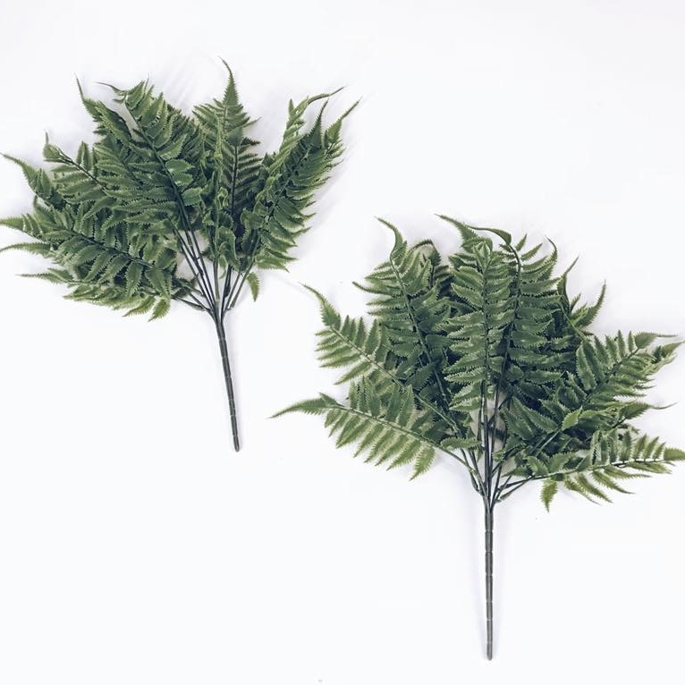 Папороть штучна пучок FW-050