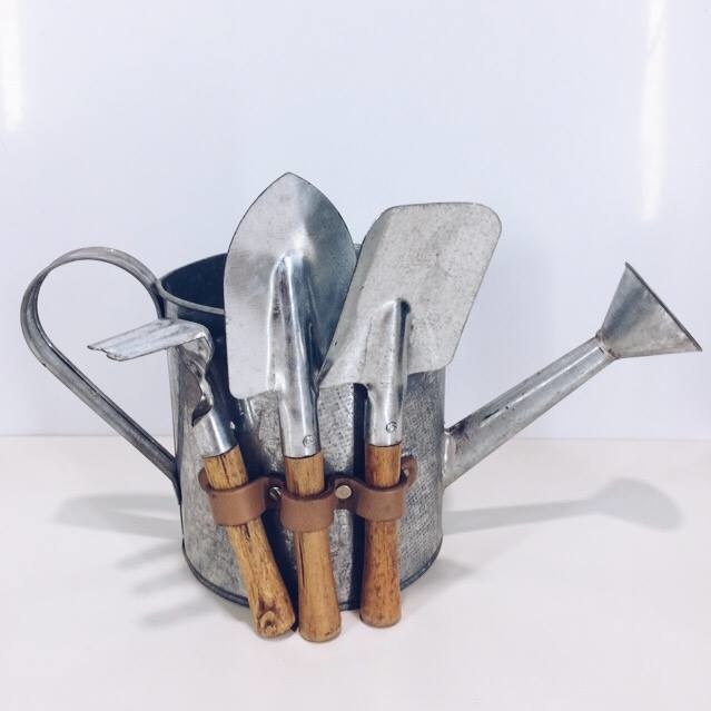 Лійка садова мала з інструментами метал