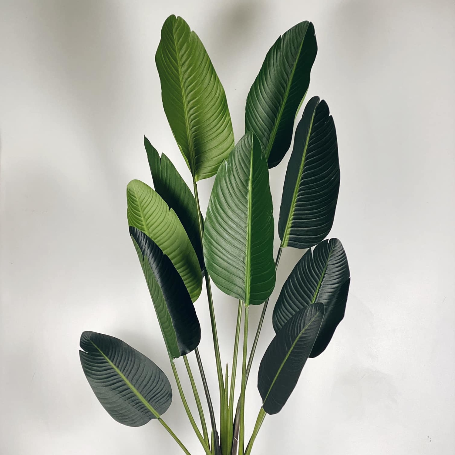 Стреліція штучна 150 у кашпо FW-135