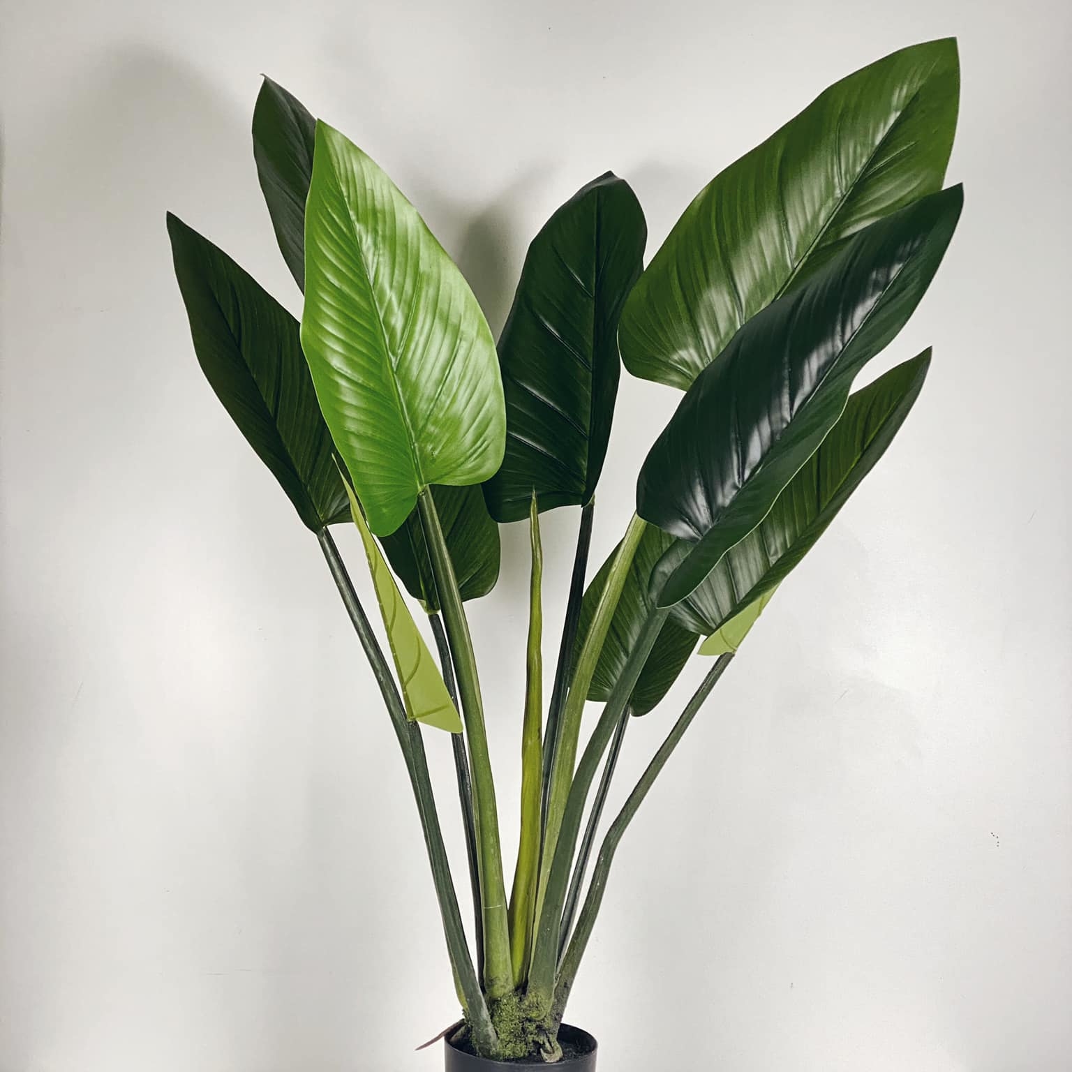 Стреліція штучна 135 у кашпо FW-136