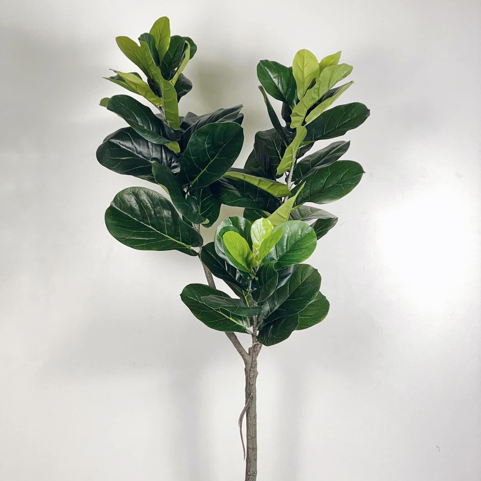 Фікус ліровидний штучний 160 у кашпо FW-137