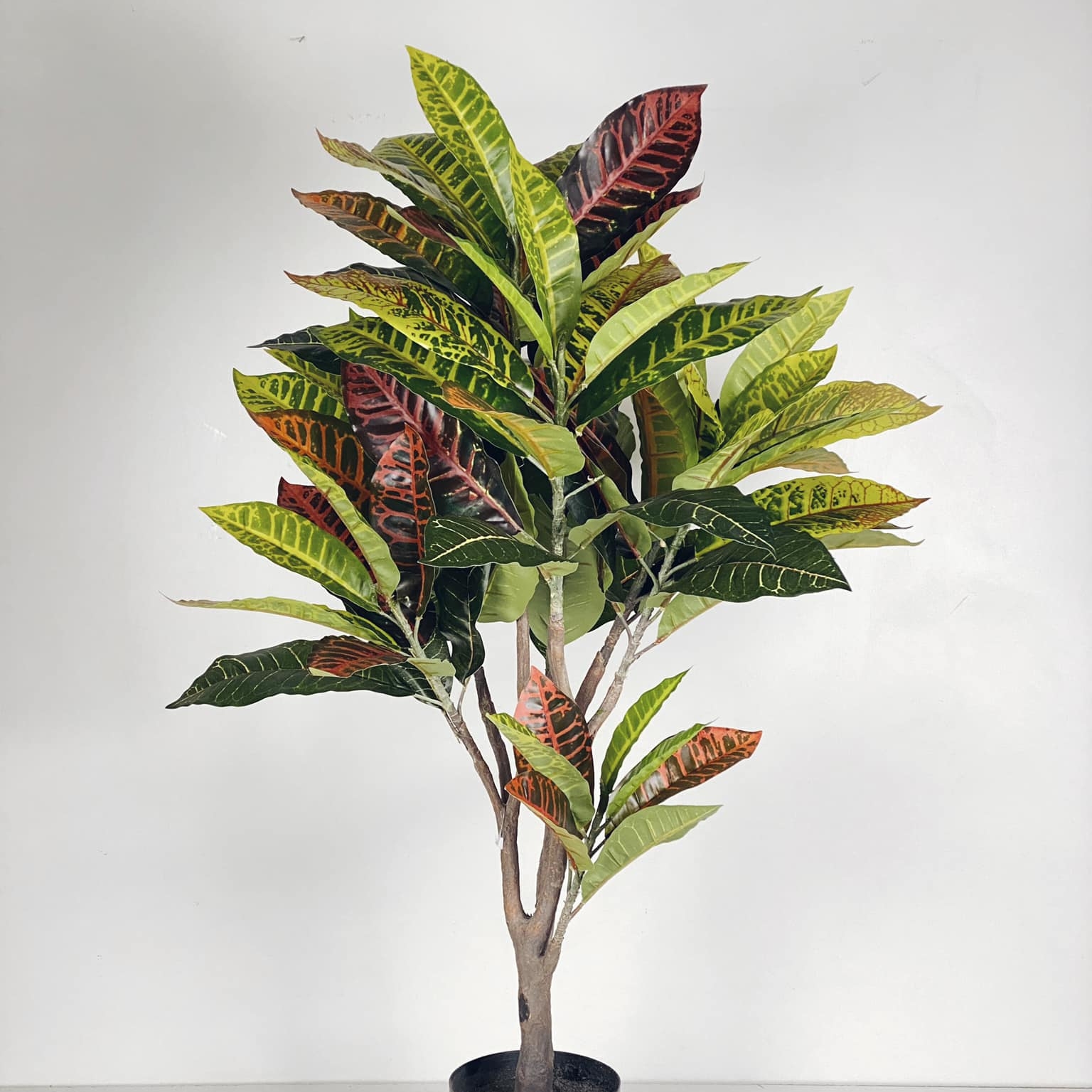 Кротон штучний 100 у кашпо FW-139