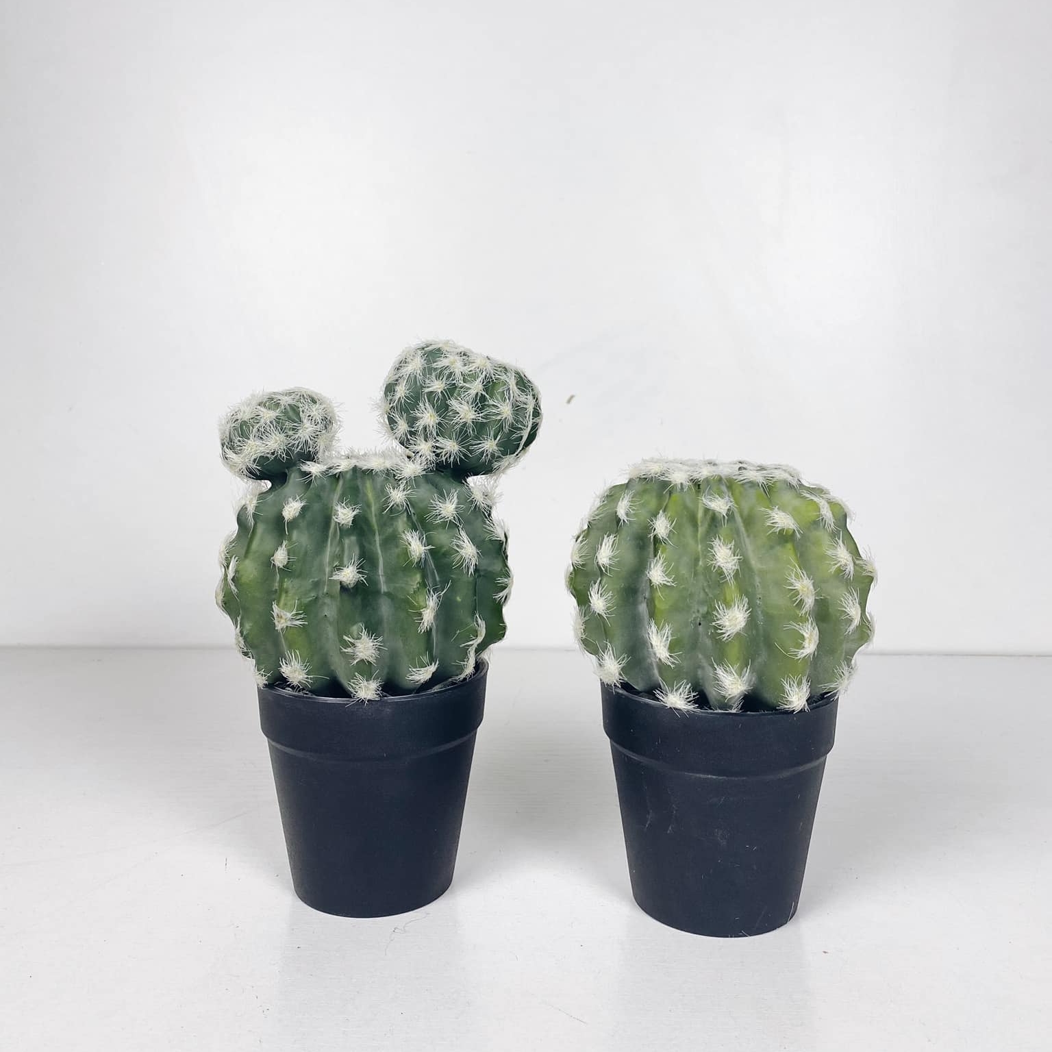 Кактус штучний у чорному вазоні FW-140