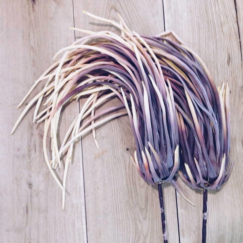 Трава штучна фіолетова на довгому стеблі FW-022