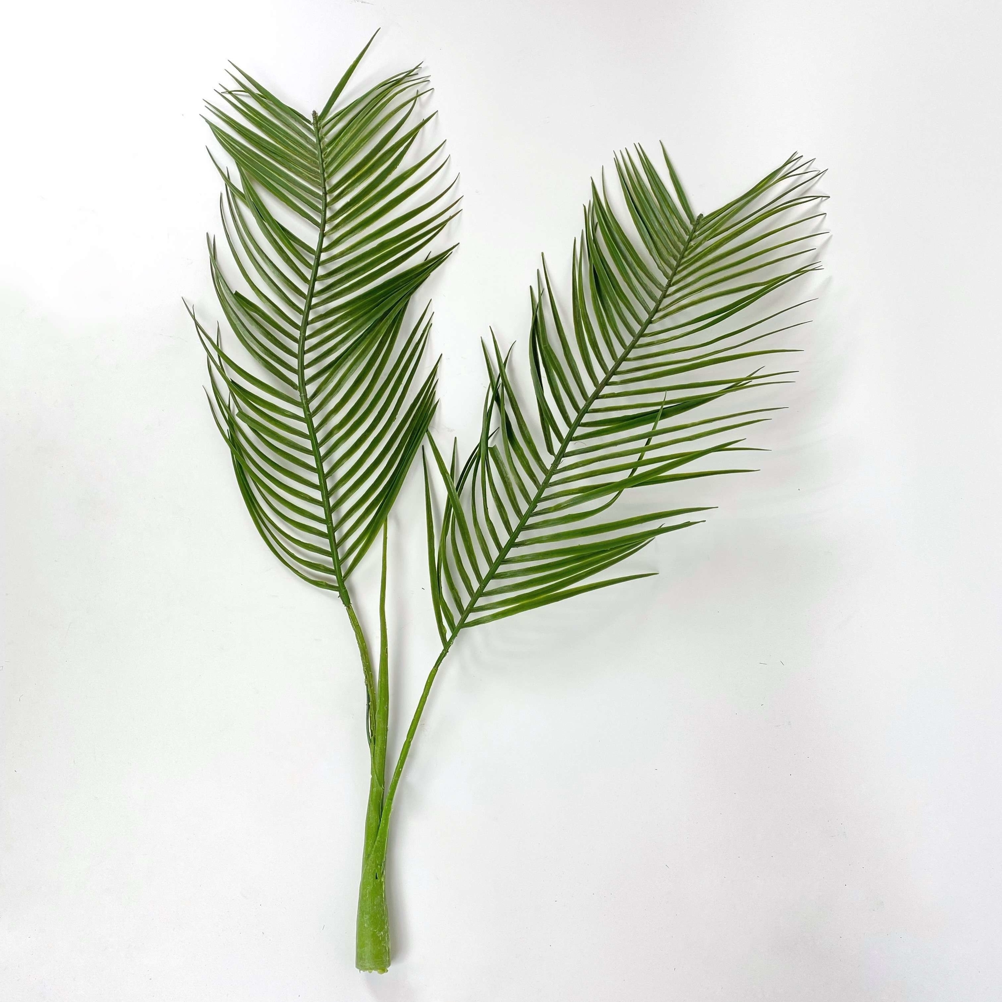Гілка пальми штучна двойна FW-019