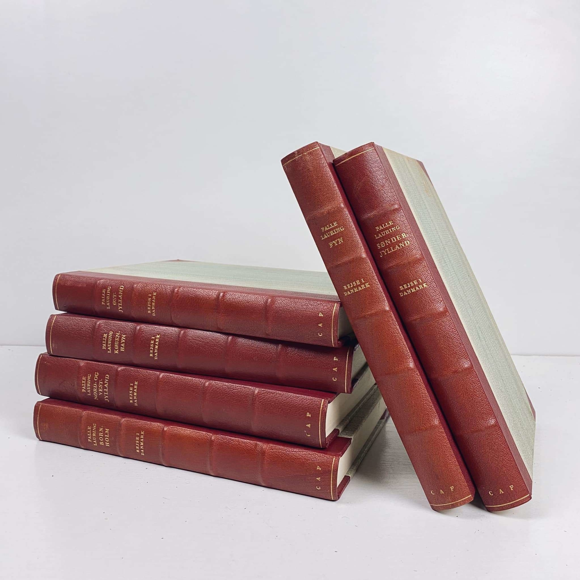 Книга вінтаж європейське видання шкіряна палітурка 4