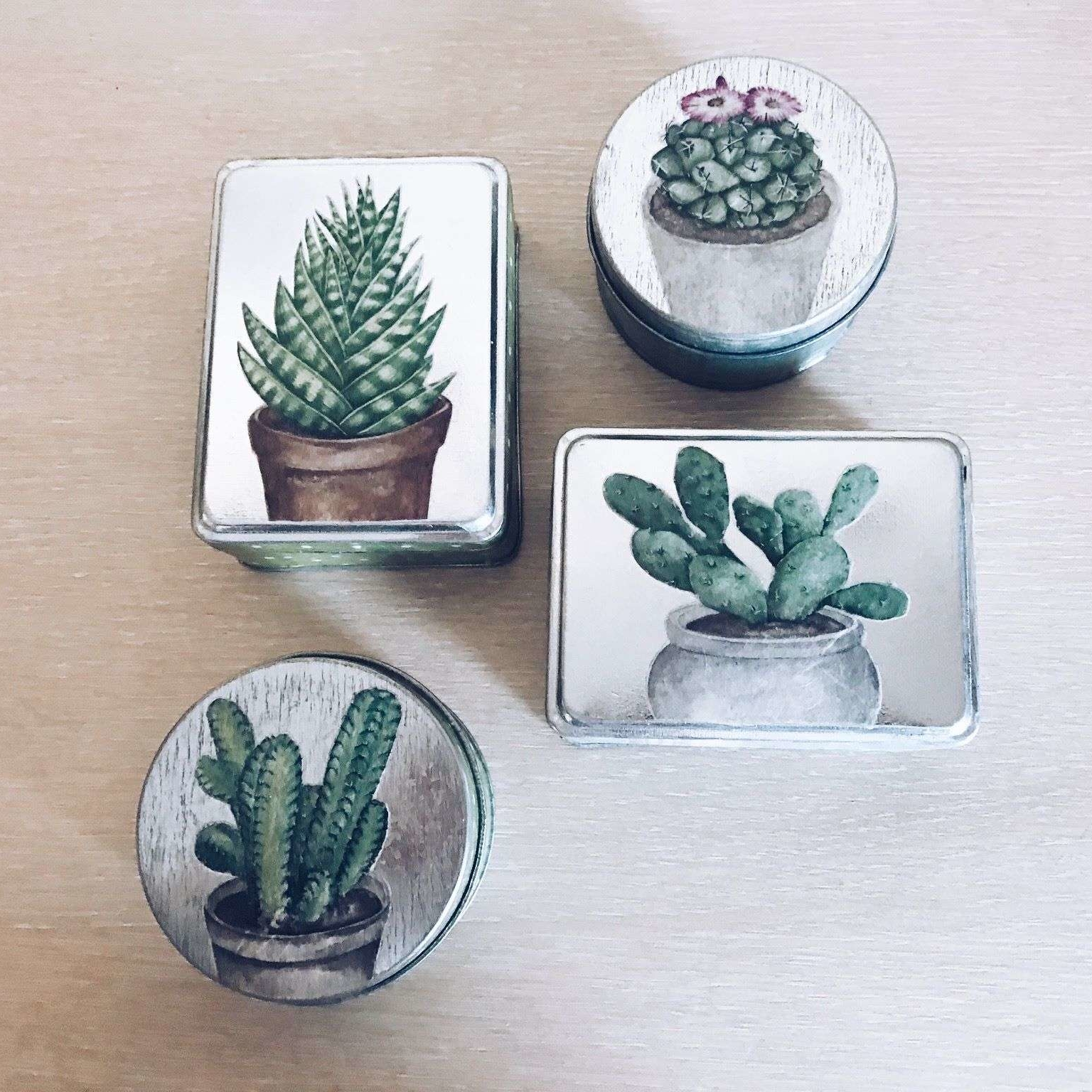 Коробочка декоративна Кактус метал BX-028