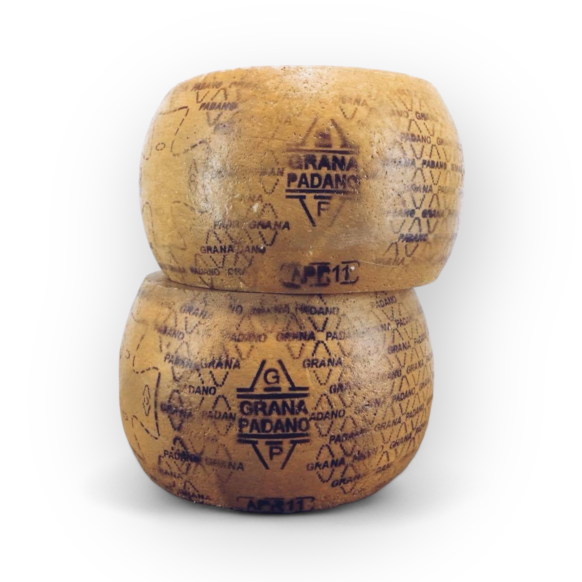 Головка сиру пармезан муляж MF-002