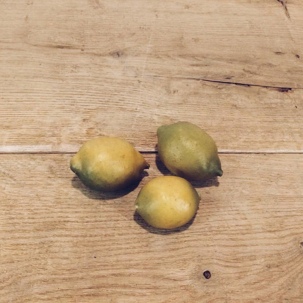 Лайм муляж MF-021