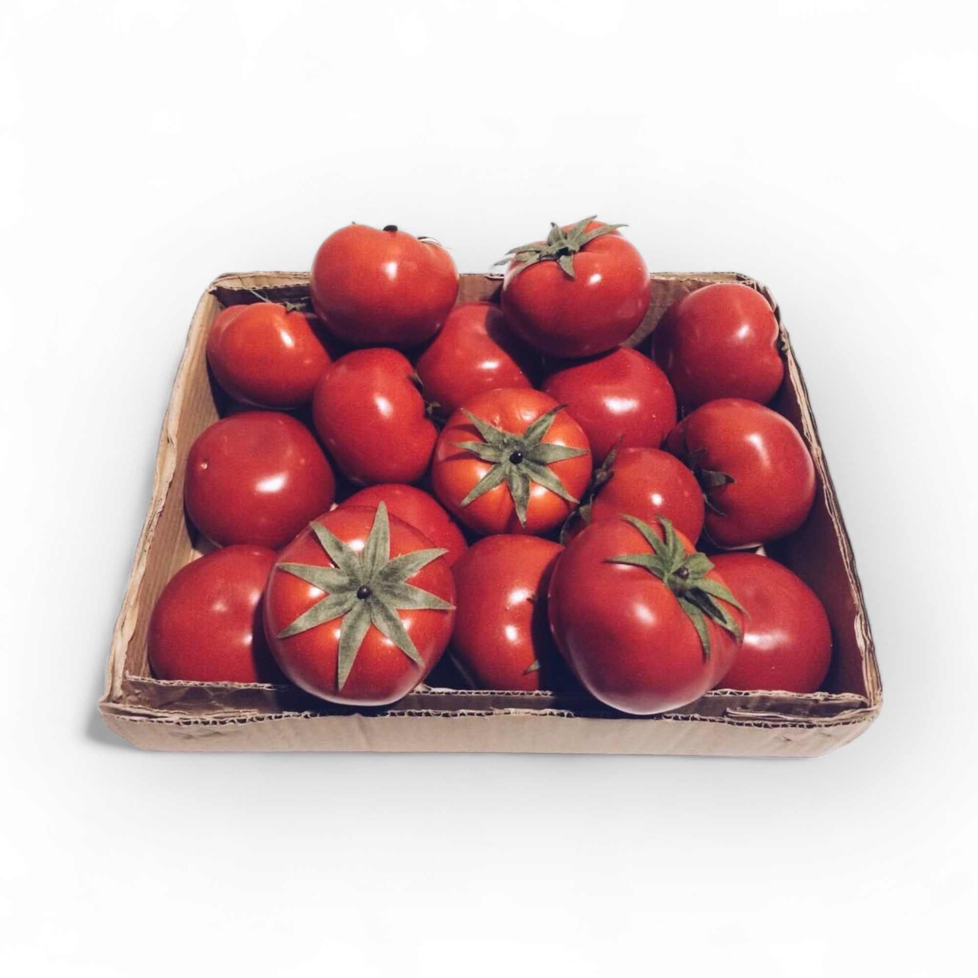 Помідор муляж MF-023