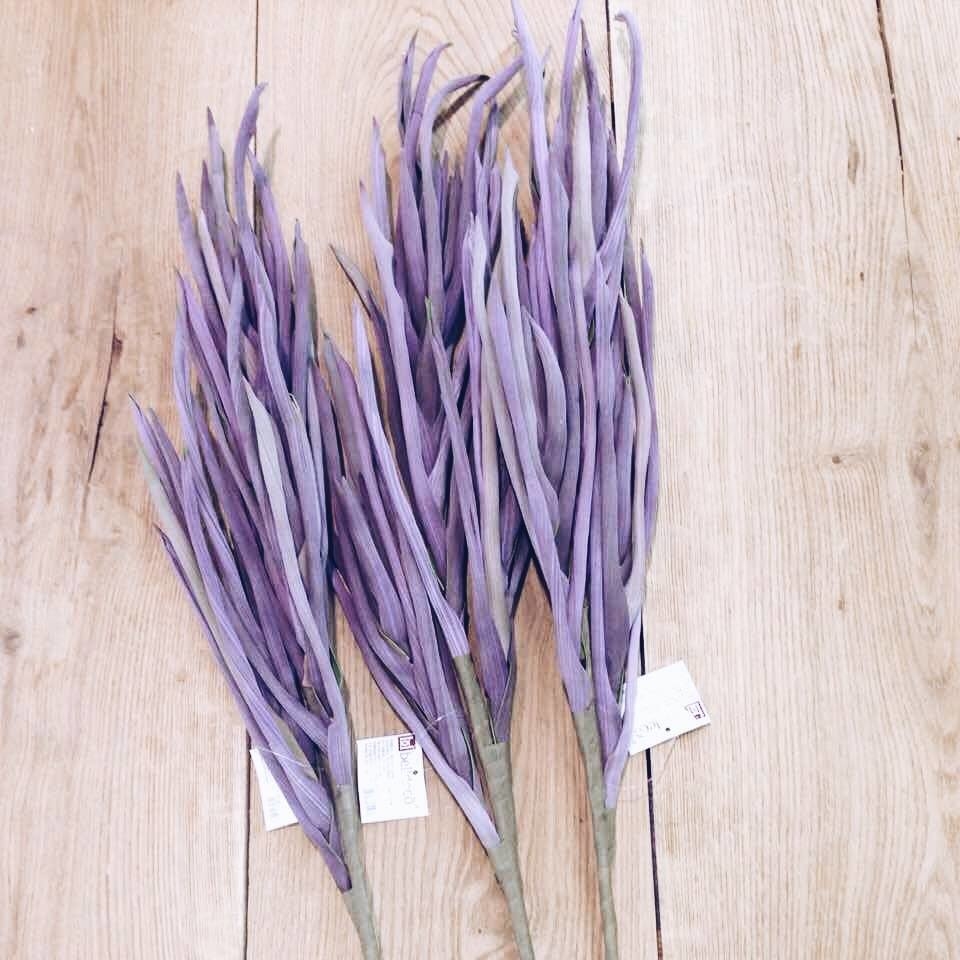 Фантазійна рослина на довгому стеблі фіолет FW-020