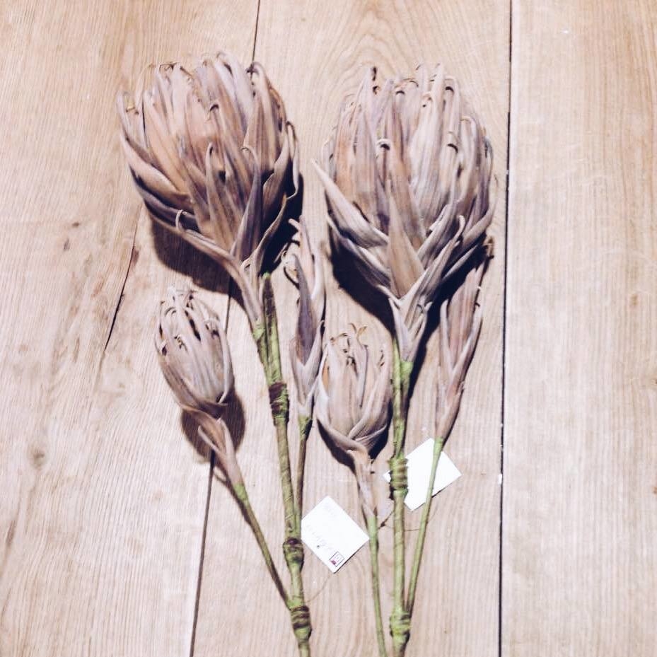 Артишок штучний коричневий на довгому стеблі FW-021