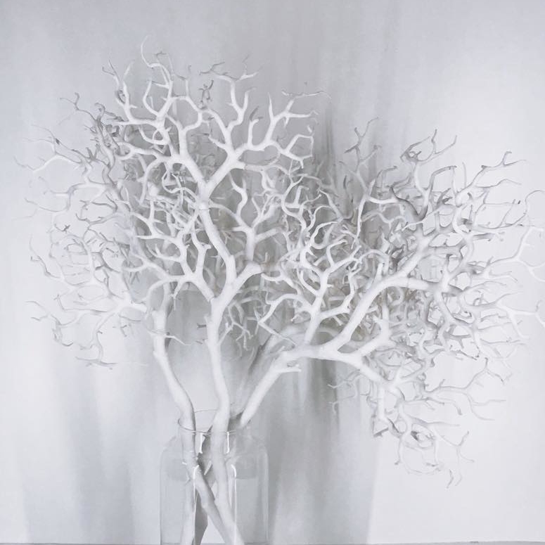 Гілка корал штучна біла велика FW-049