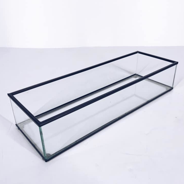 Лоток-флораріум для дрібничок скло/метал BX-055