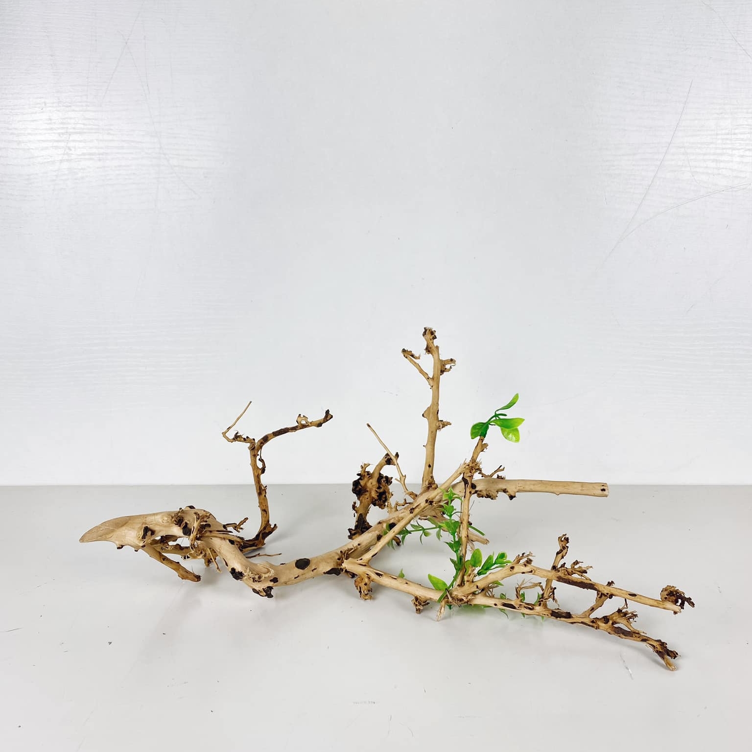 Коряга для акваріуму