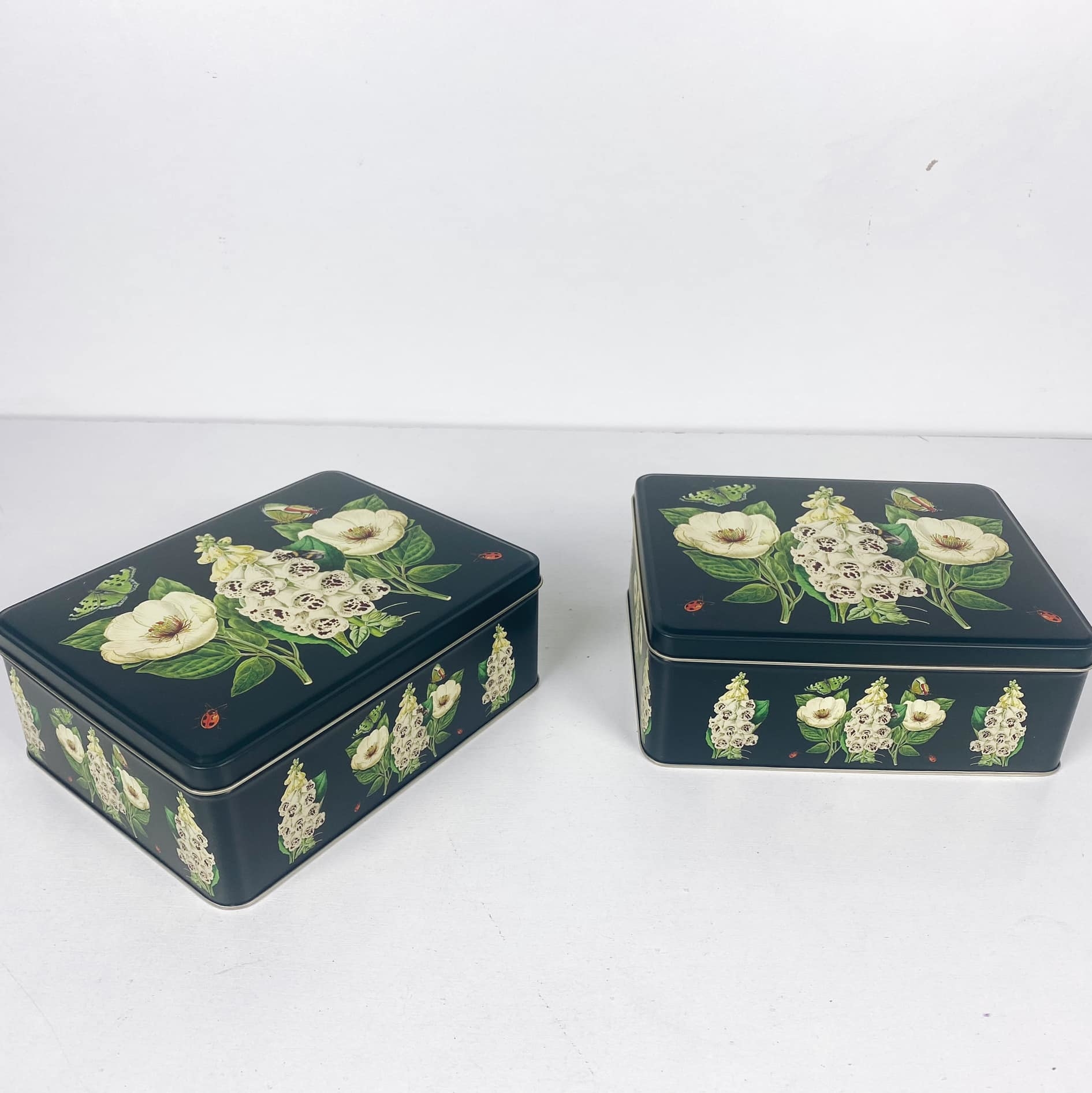 Коробка металева прямокутна серія Ботаніка BX-056