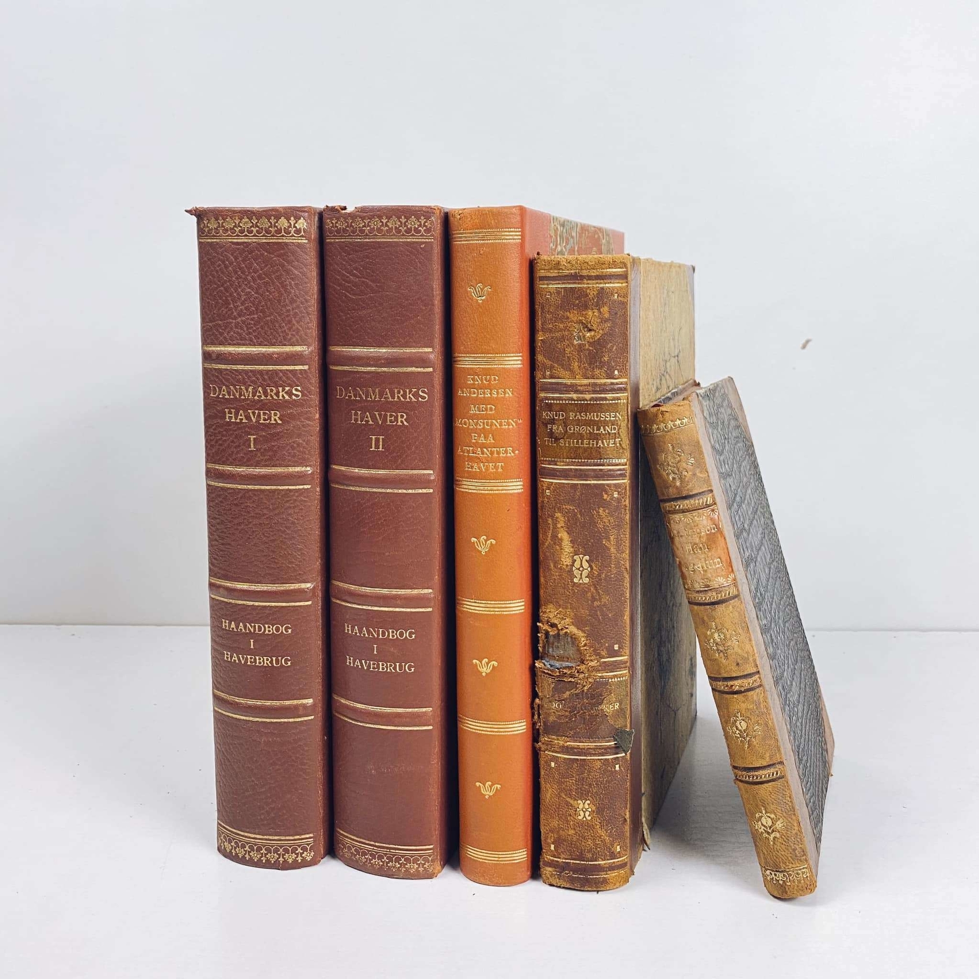 Книга вінтаж європейське видання шкіряна палітурка 8