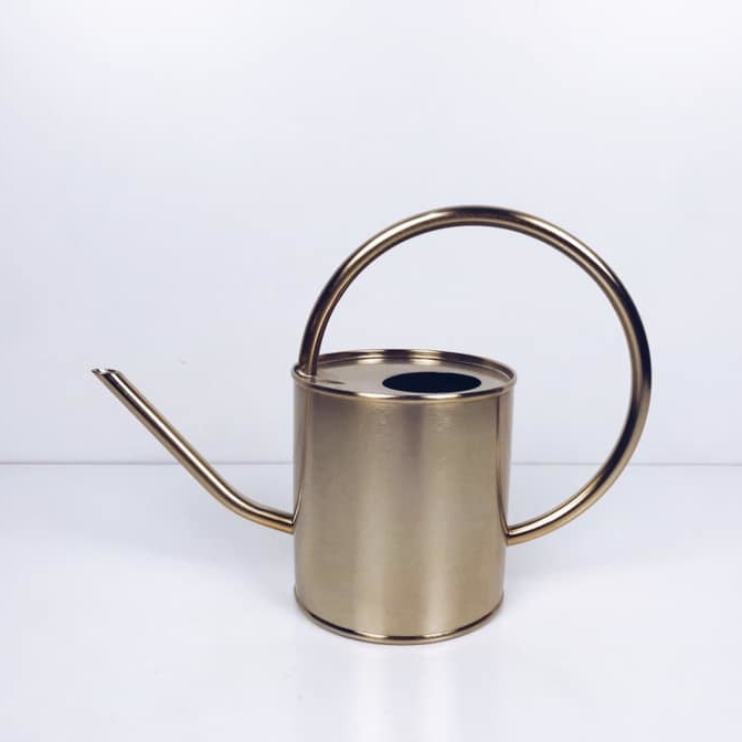 Лійка для кімнатних рослин метал золото