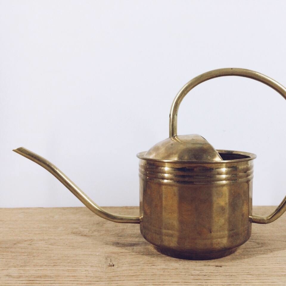 Лійка для кімнатних рослин латунь