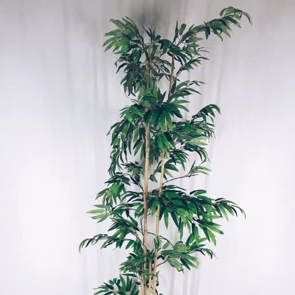 Бамбук штучний №3 FW-058