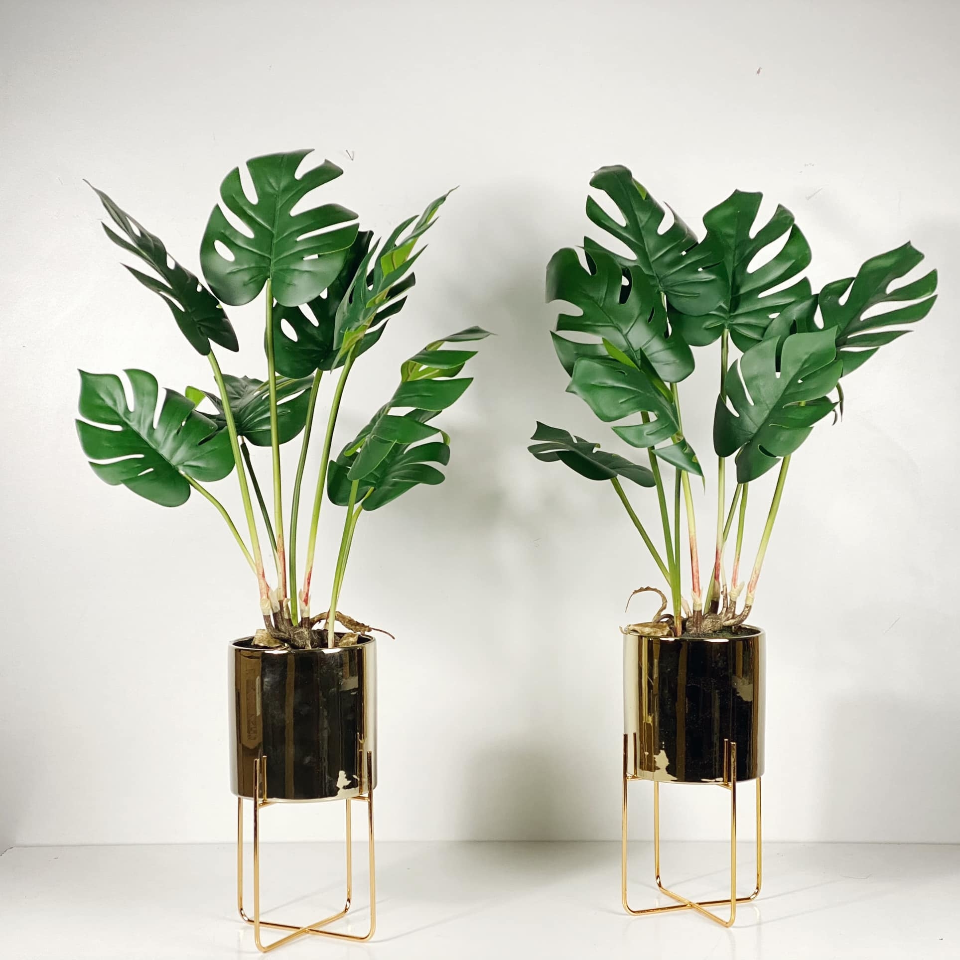 Монстера штучна у золотому вазоні з підставкою FW-141