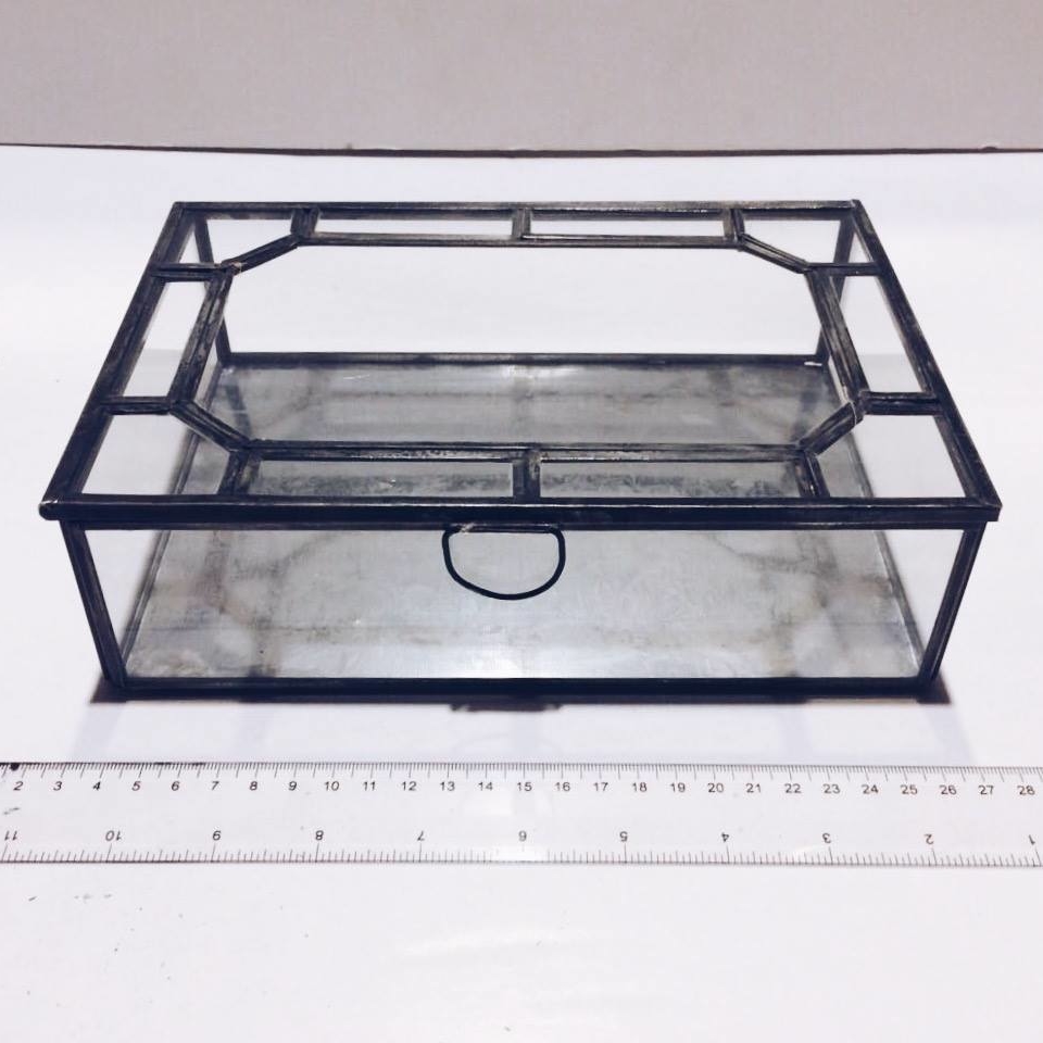 Шкатулка-флораріум скло/метал чорний BX-026