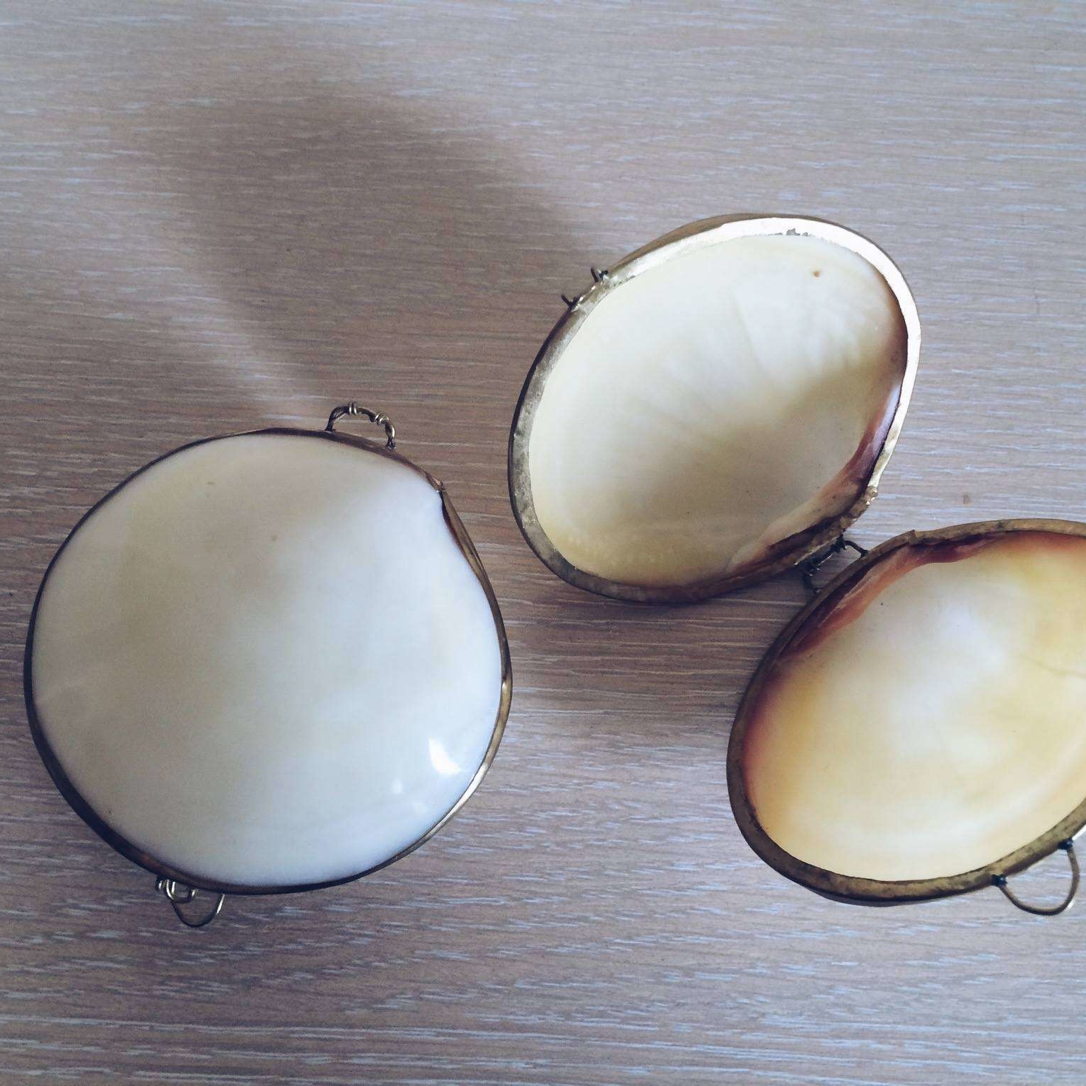 Шкатулка з мушлі в латунному обрамлені BX-069